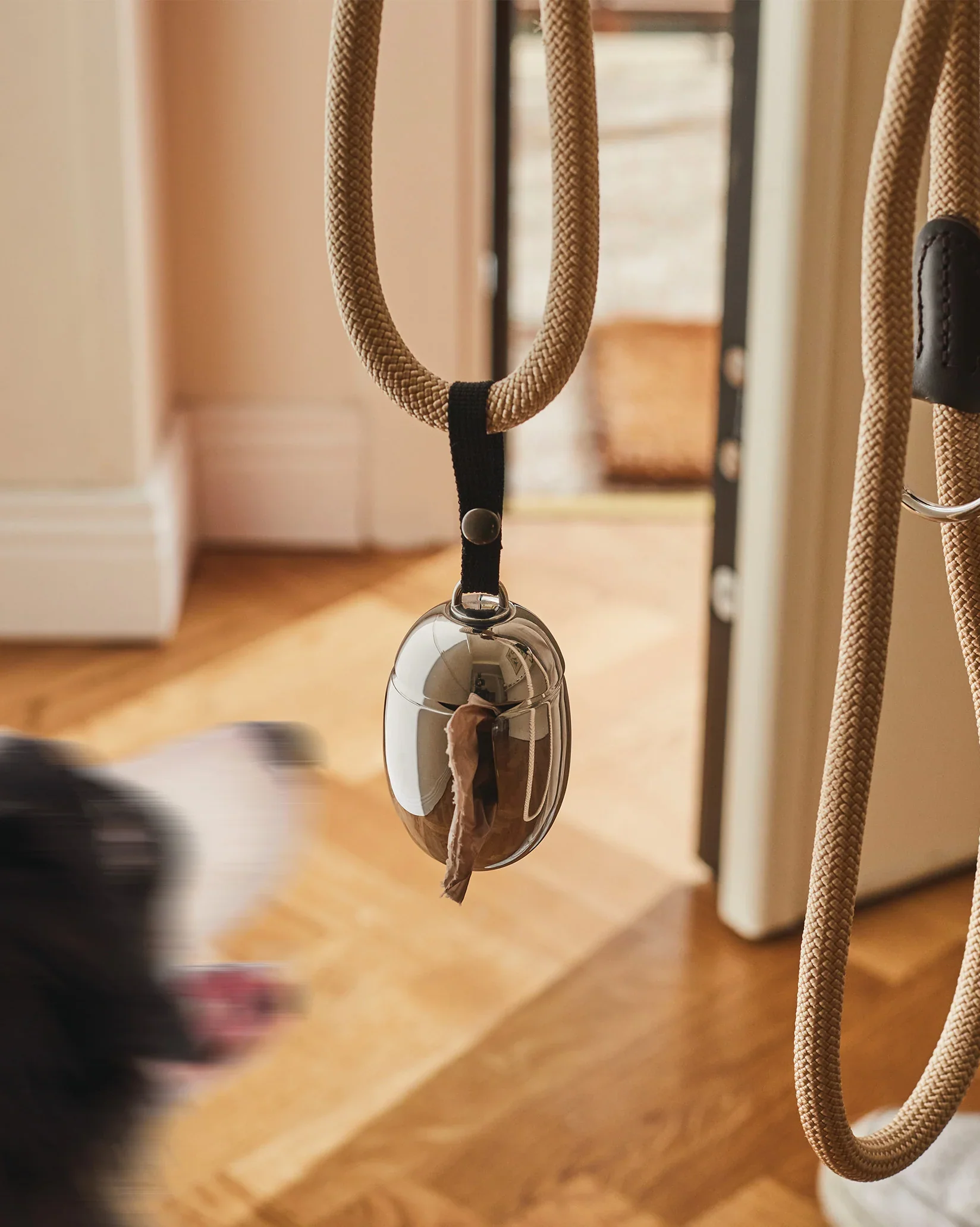 Acino Dog Waste Bag Dispenser by Miriam Mirri - Image 5