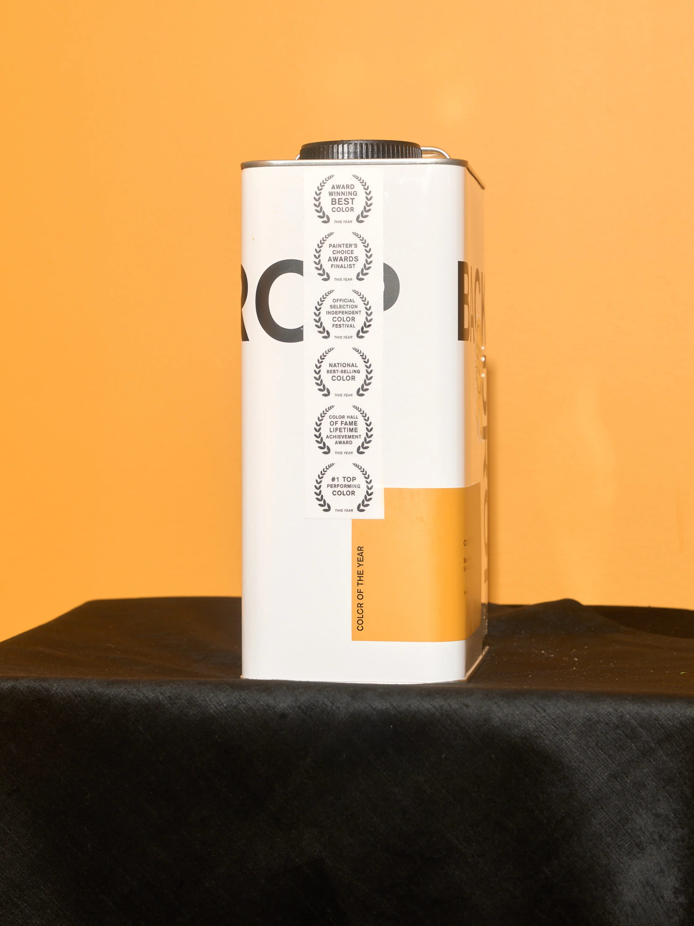 Backdrop Paint "Color of the Year" - Image 3