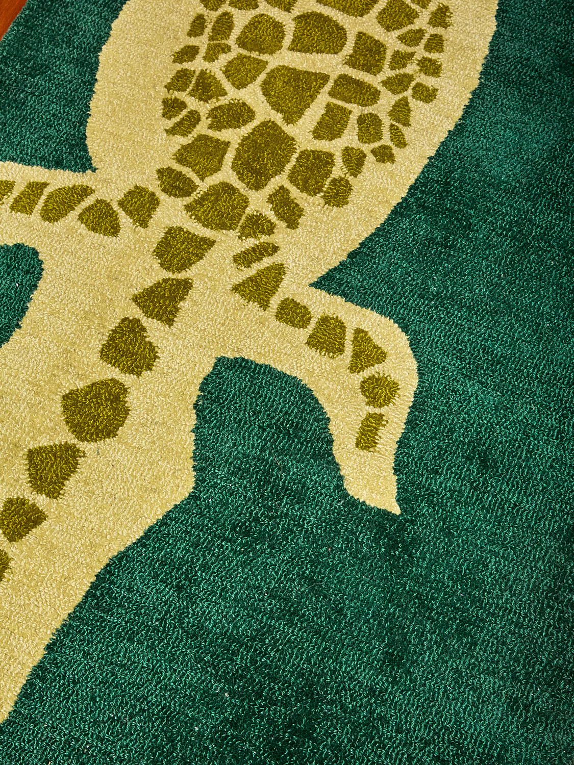 Crocodile Runner - Image 3