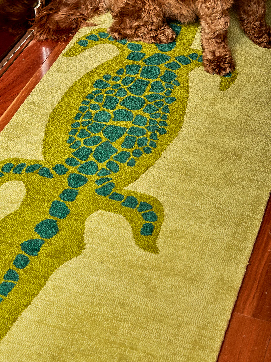 Crocodile Runner - Image 5