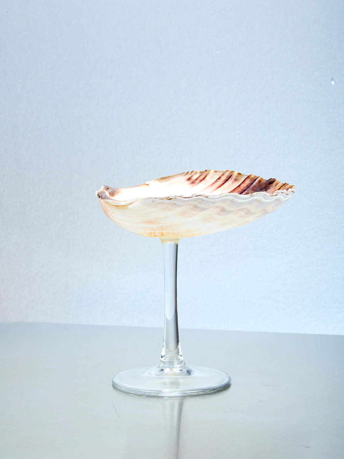 Shell Glass - Image 3