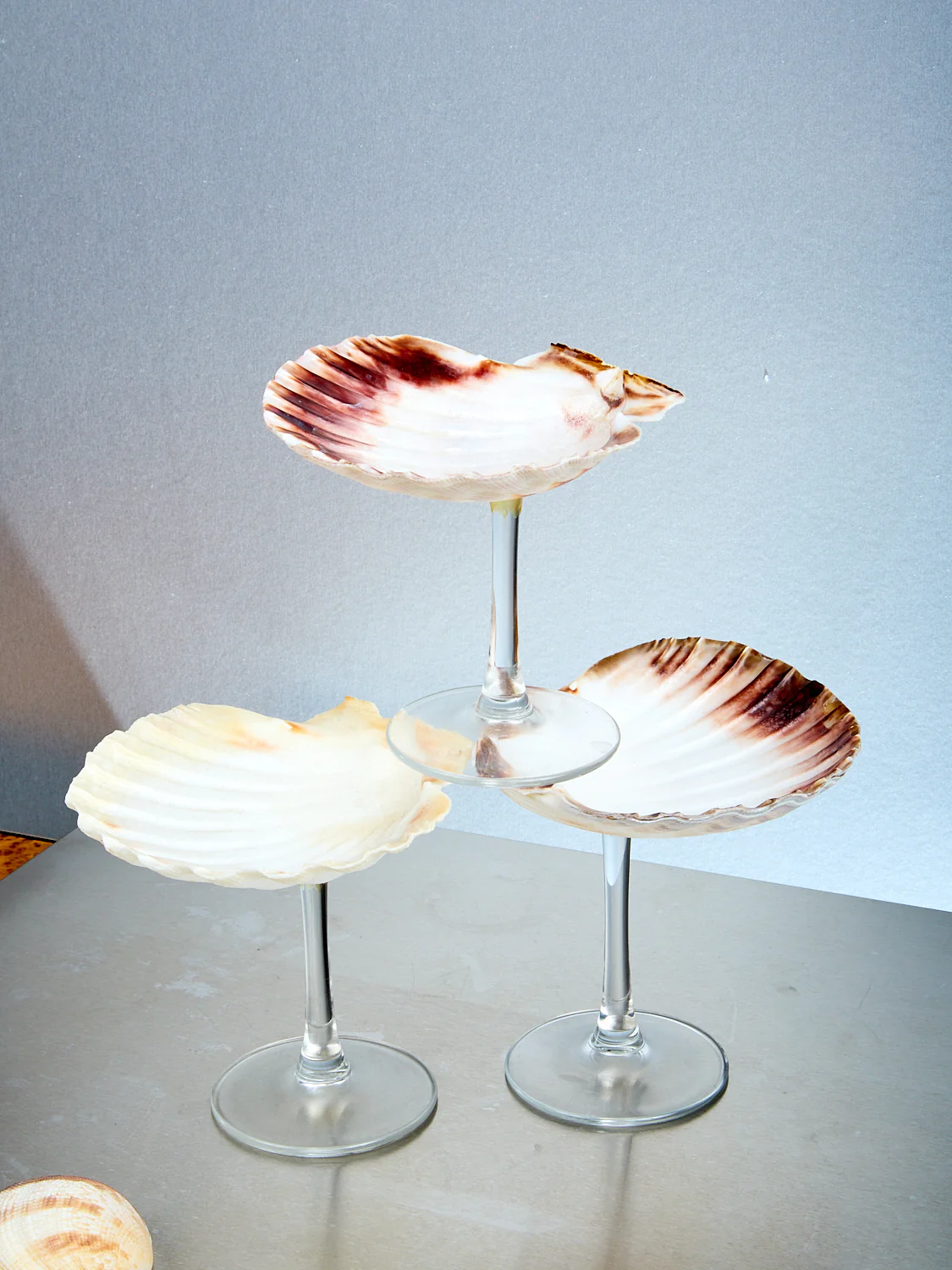Shell Glass - Image 5