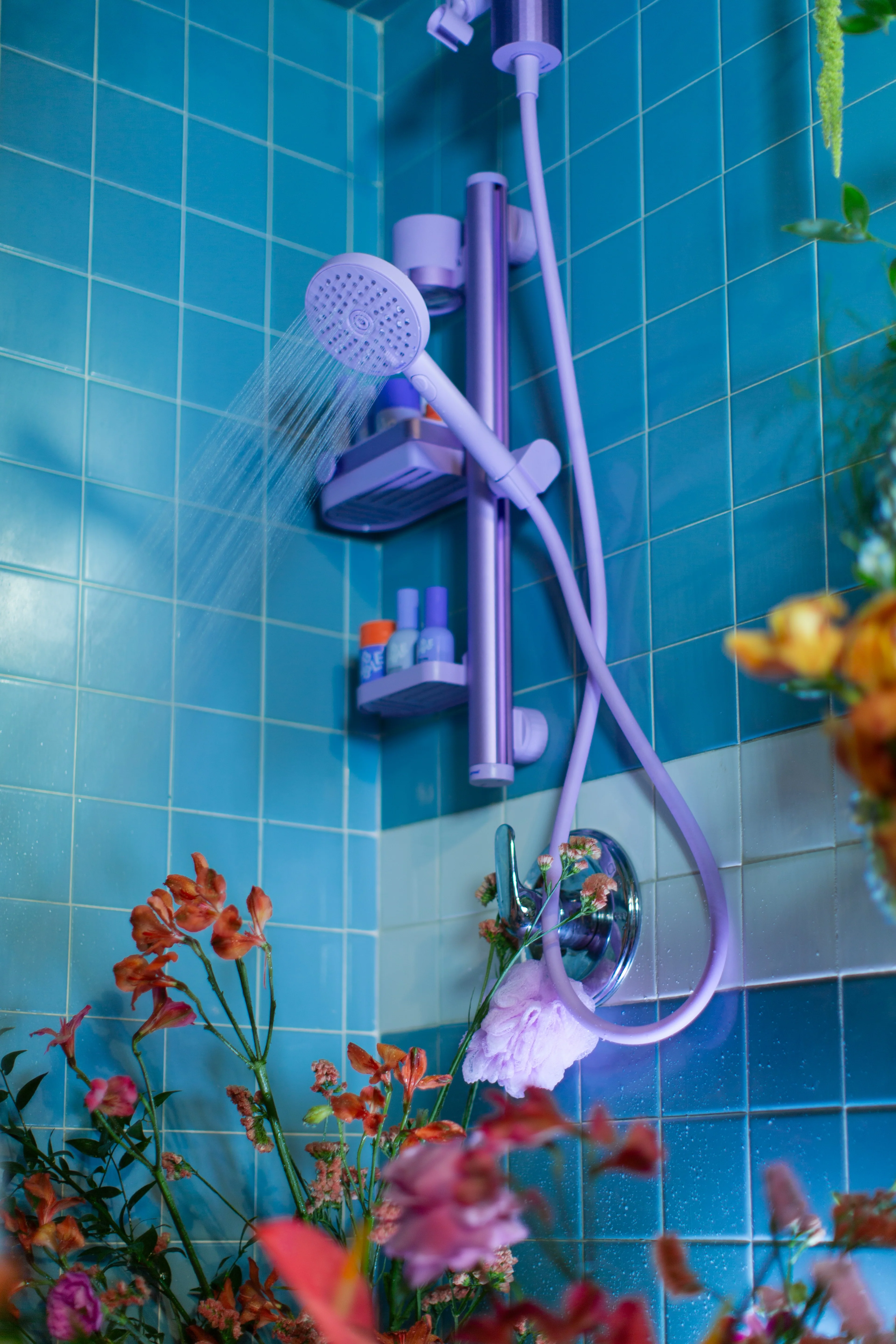 Shower Kit + Filter