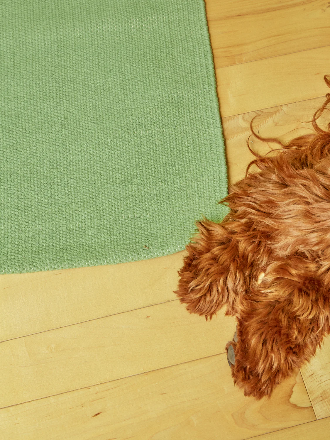 "The Earthworm" Rug - Image 4